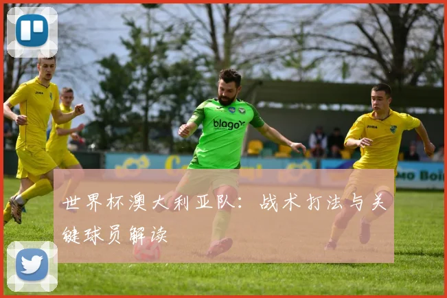 世界杯澳大利亚队:战术打法与关键球员解读